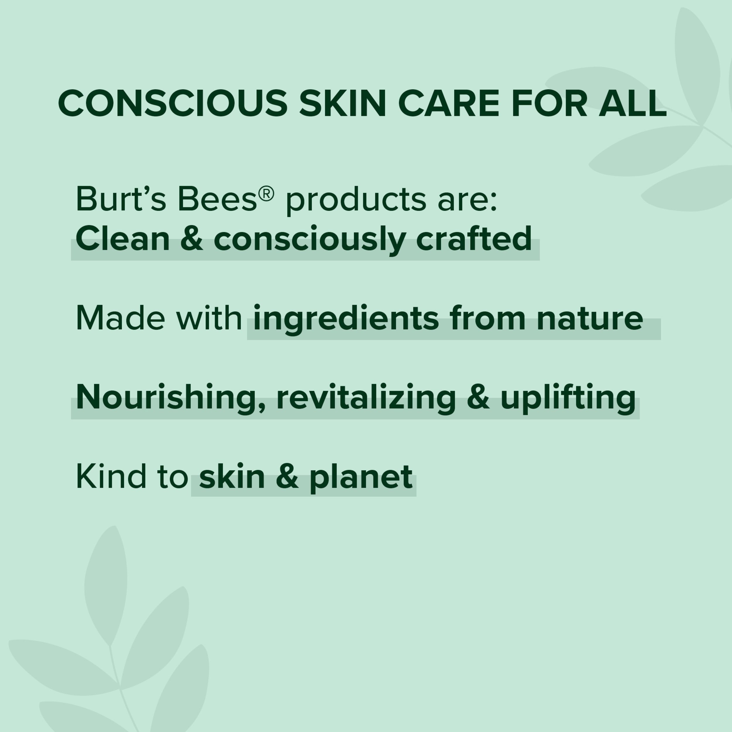 Burt's Bees Natural & Moisturizing Lip Balm, Hemp