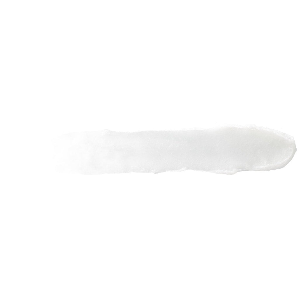 Burt's Bees 100% Natural Moisturizing Lip Balm, Vanilla Bean, 2 Count
