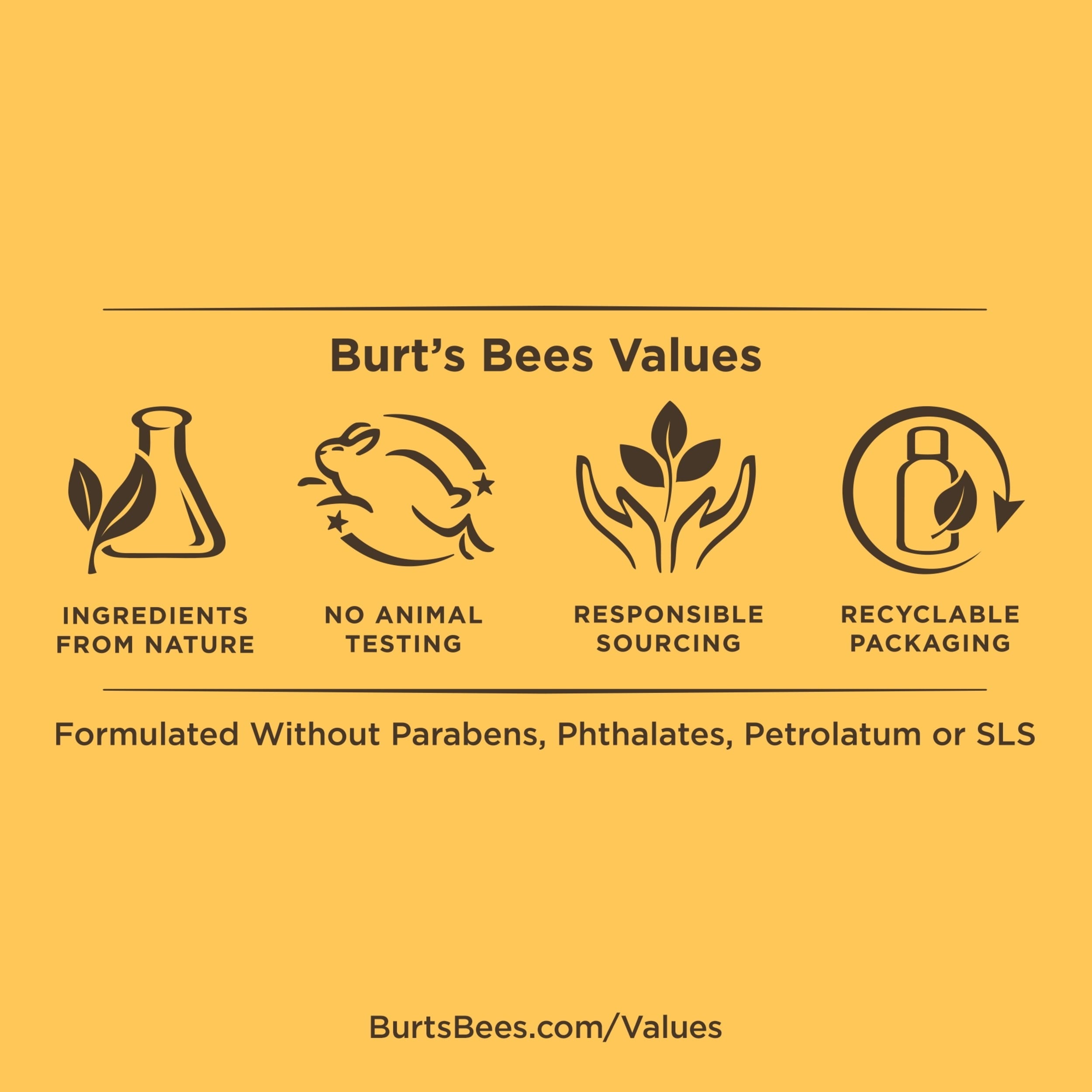 Burt's Bees 100% Natural Moisturizing Lip Balm, Coconut & Pear, 2 Count