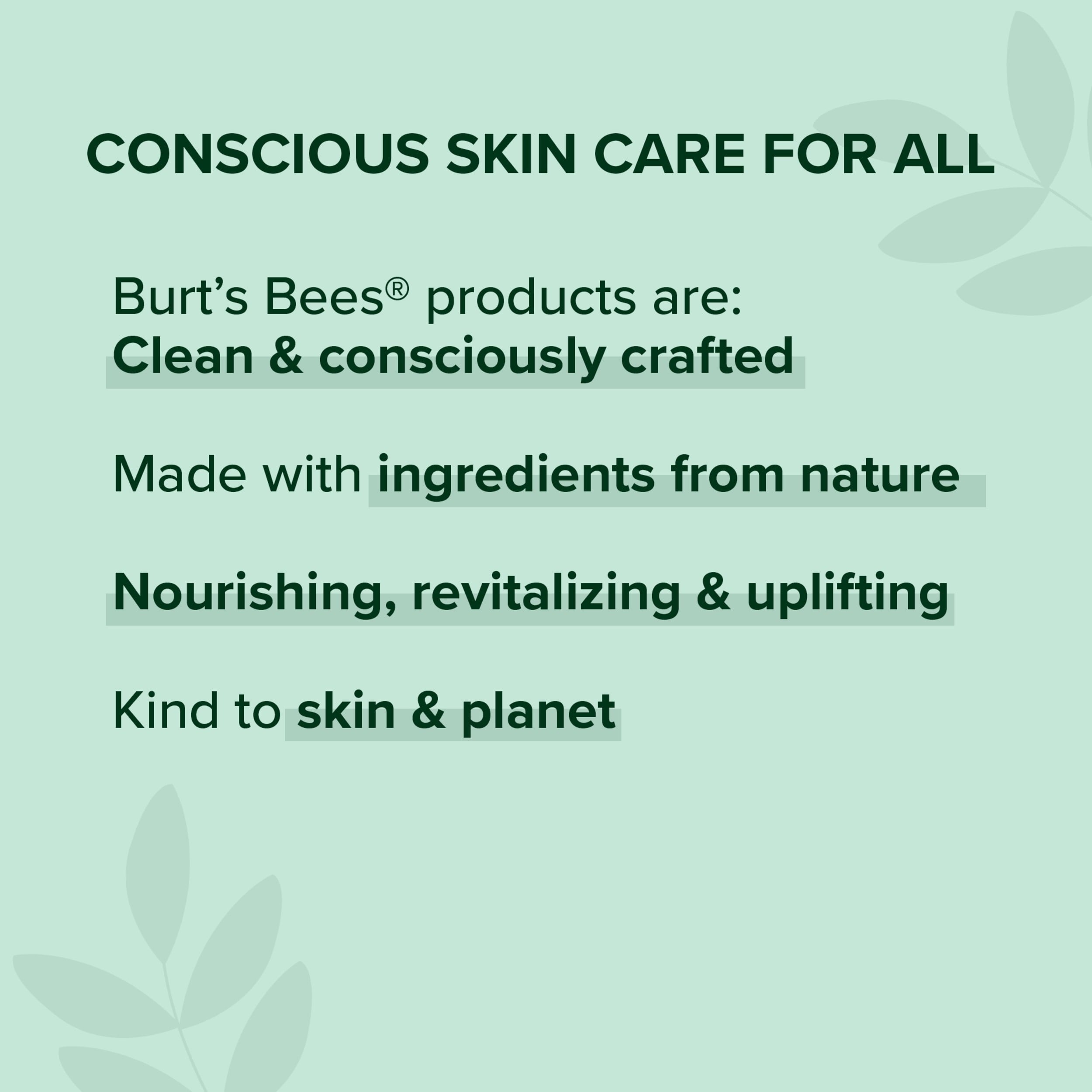 Burt's Bees 100% Natural Moisturizing Crayon, Bordeaux Vines, 1 Count
