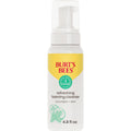 Burt's Bees Gentle Foam Cleanser, Normal to Combination Skin, 4.8 oz
