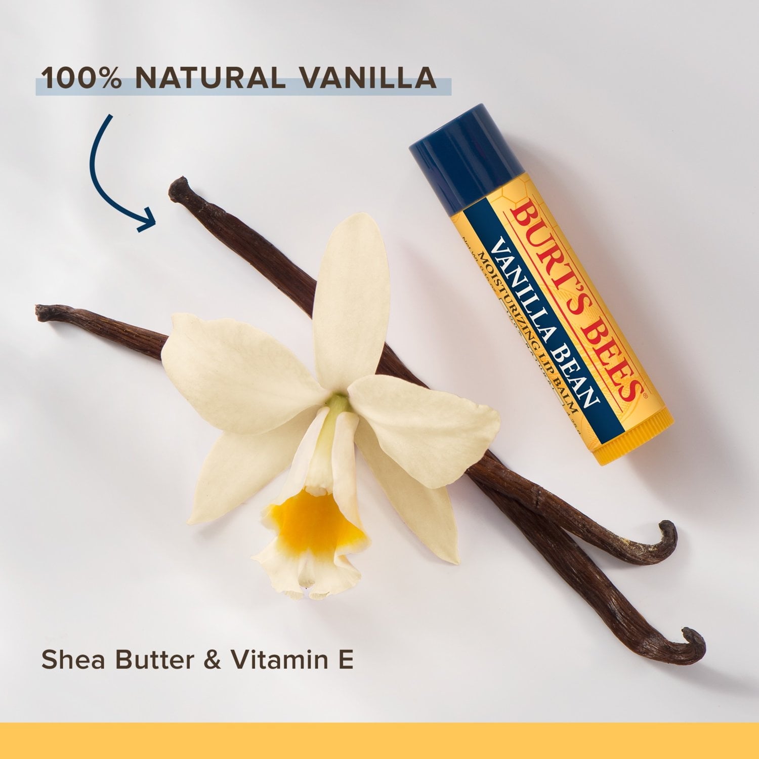 Burt's Bees 100% Natural Moisturizing Lip Balm, Vanilla Bean, 2 Count