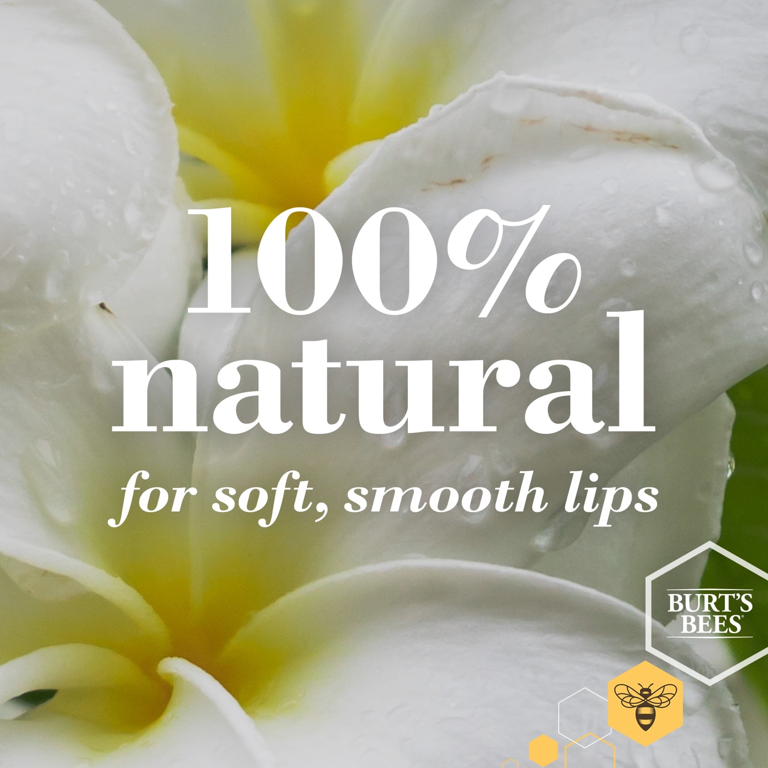 Burt's Bees 100% Natural Moisturizing Lip Balm, Coconut & Pear, 2 Count